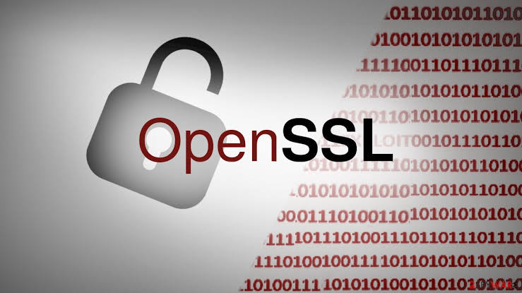 OpenSSL Gets a Fresh Heap Overflow in CMS Processing